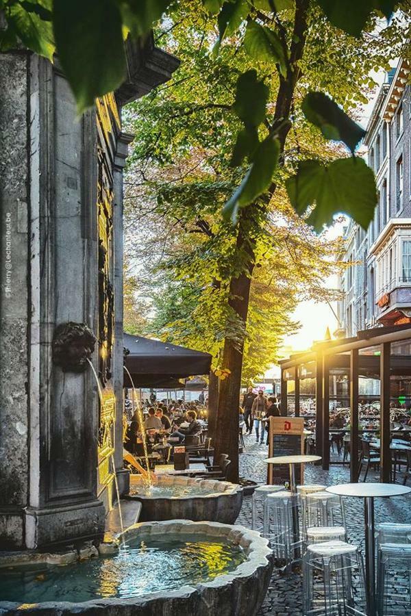 Casa de Férias Atypique - Coeur Historique De Liège